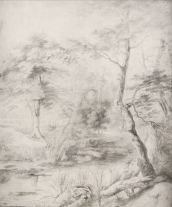 View of a Pond Surrounded by Trees
