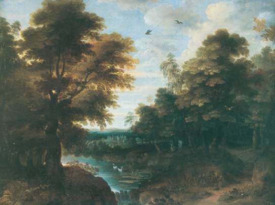 Forest Landscape