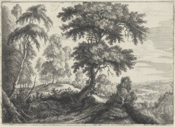 Wooded Landscape with a River