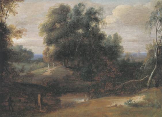 Brabant Wooded Landscape 