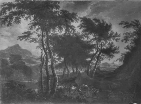 Evening Landscape
