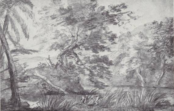 Wooded Landscape