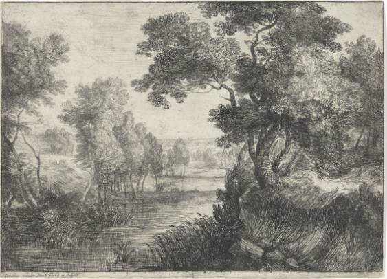 The Marsh (3)