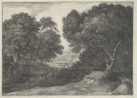 Wood