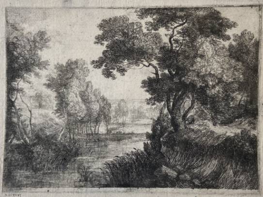 The Marsh (2)