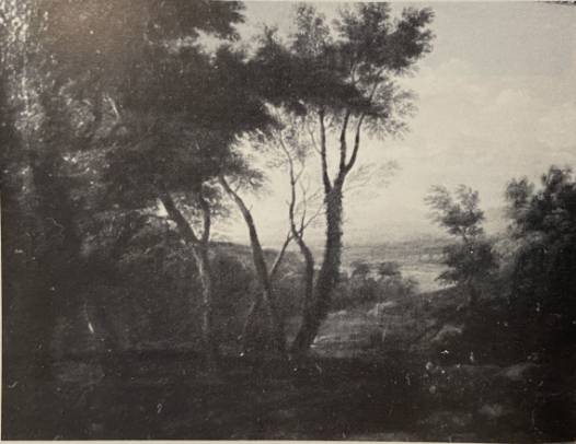Wooded Landscape