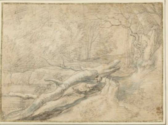 Landscape with a Dead Tree Trunk