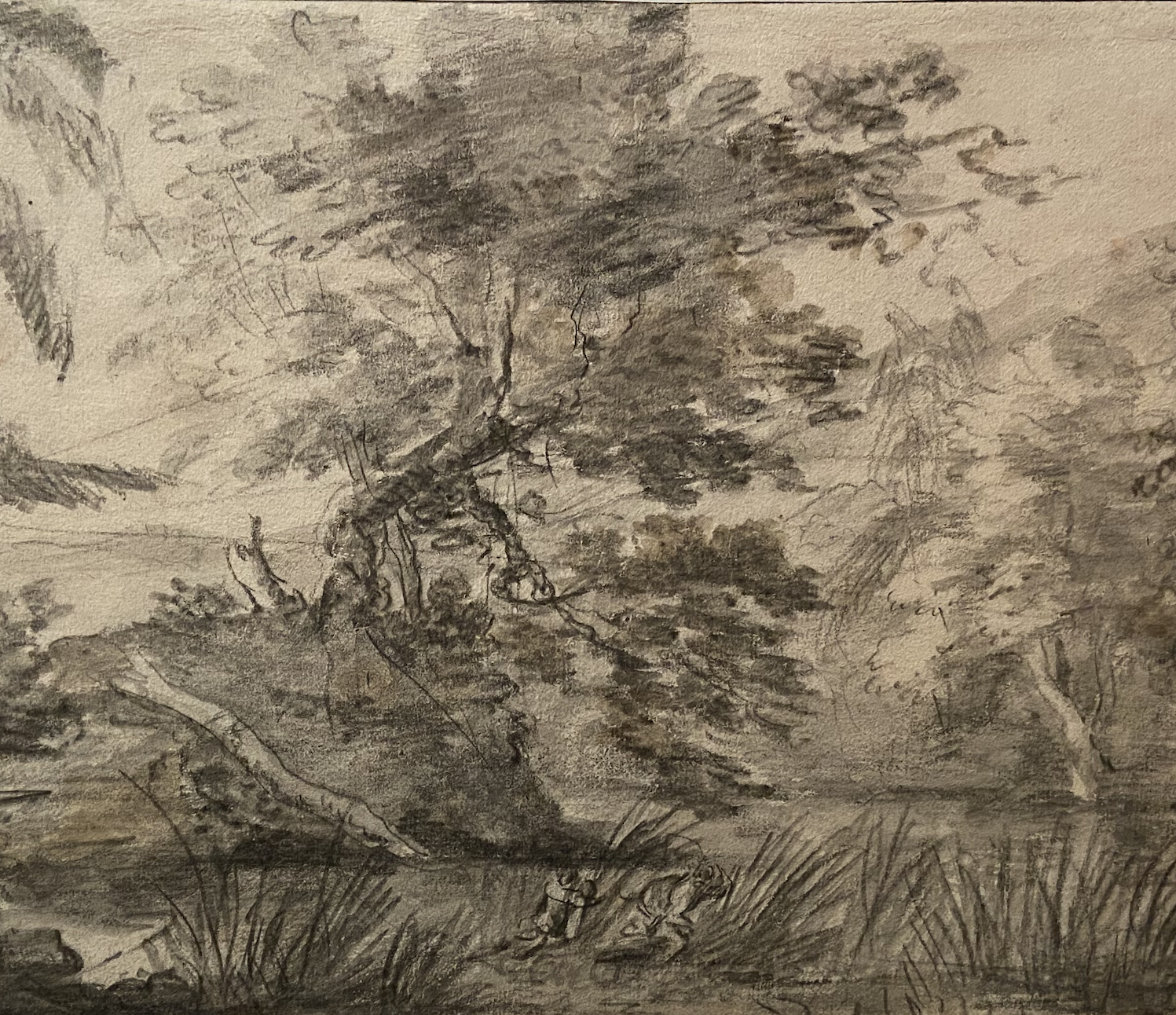 drawings