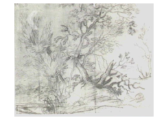 Work 850: A Study of Trees